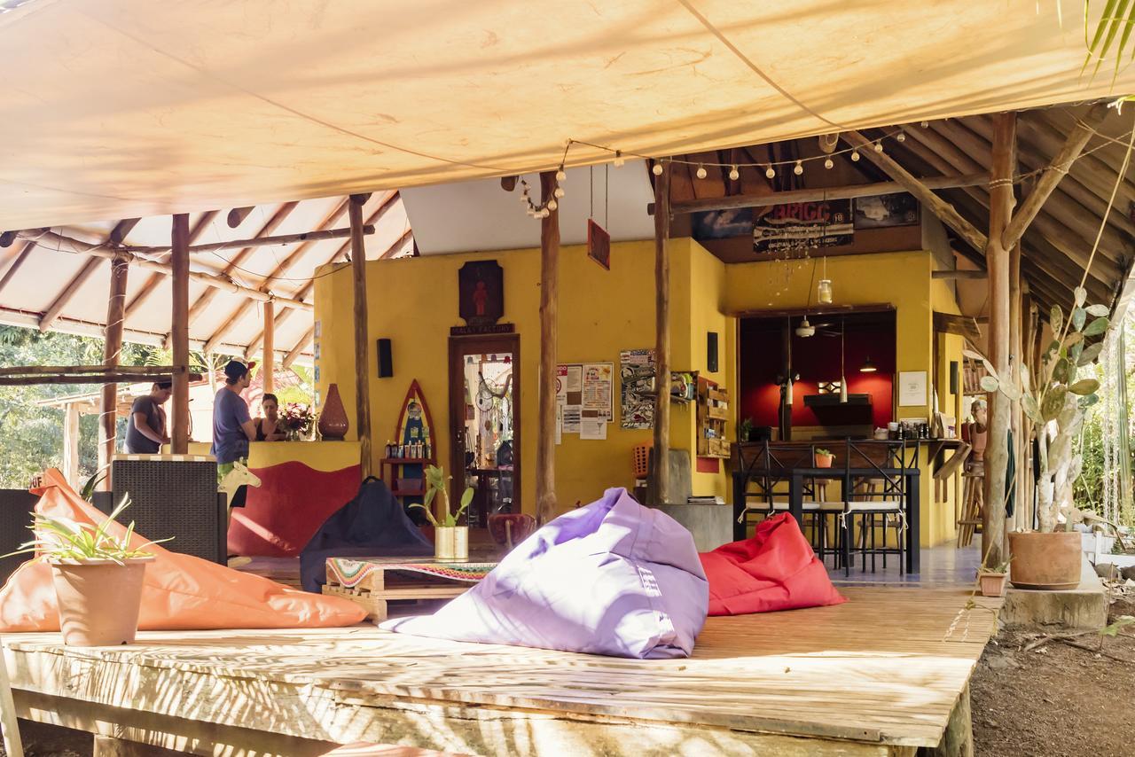 Hotel Mauna Loa Pinilla Eksteriør billede