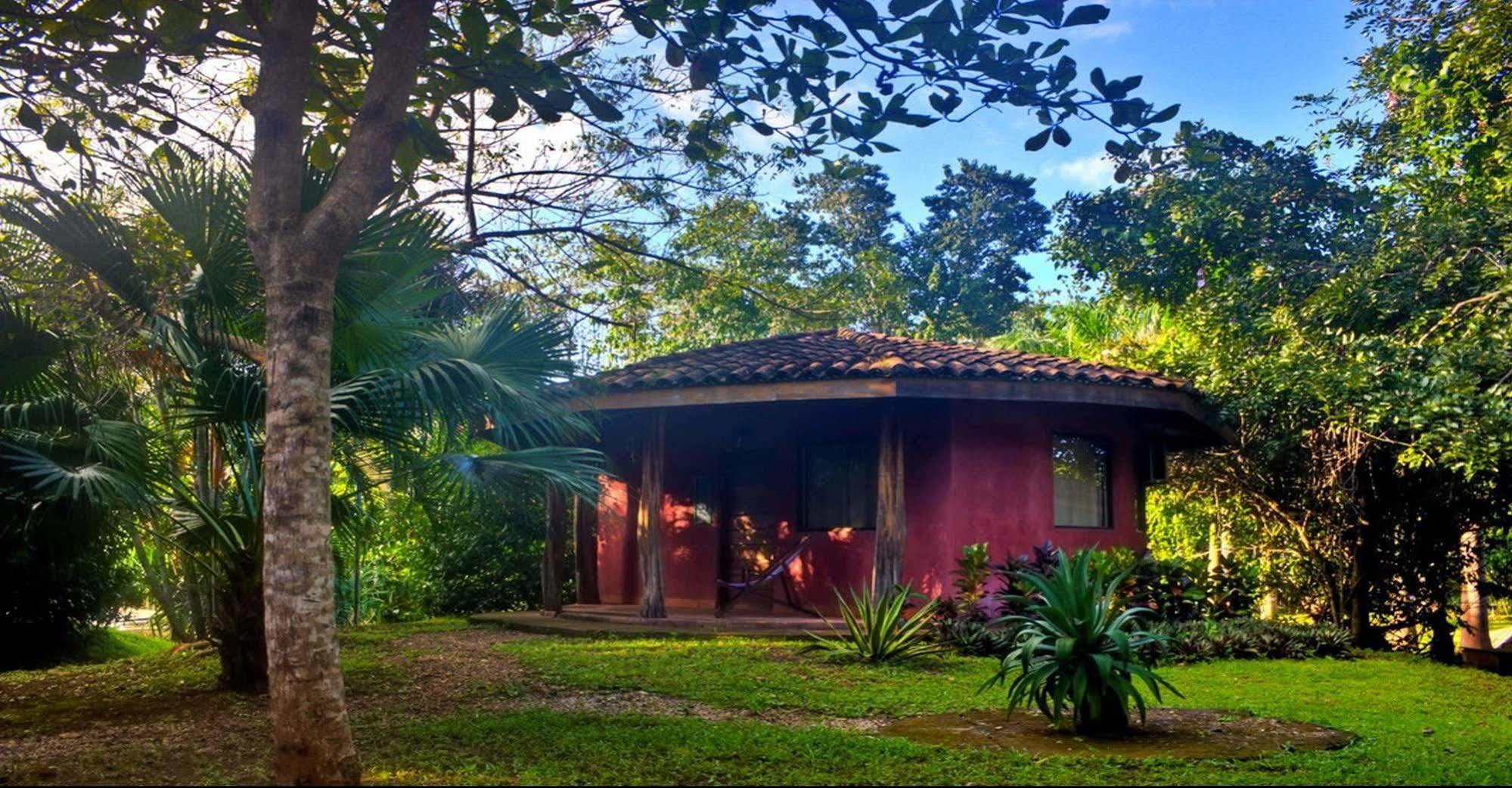 Hotel Mauna Loa Pinilla Eksteriør billede